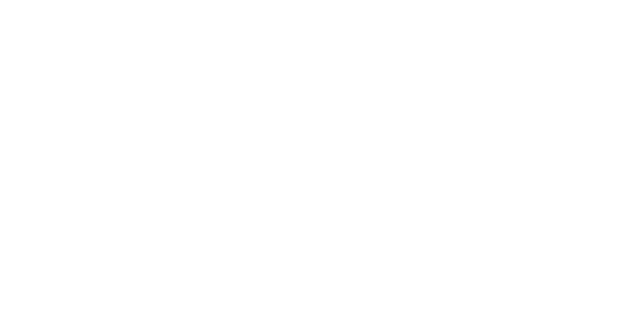 NorthSky Aviation Consultancy