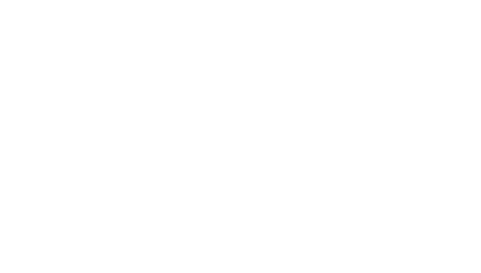 NorthSky Aviation Consultancy by RMX